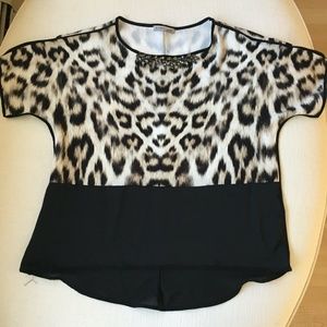 Zara Top